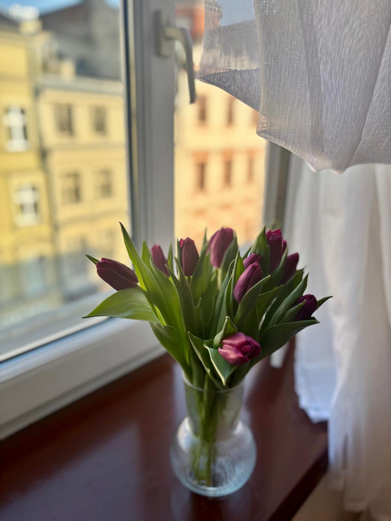 Vintage Senacka 9/7 Apartment Krakow Ngoại thất bức ảnh
