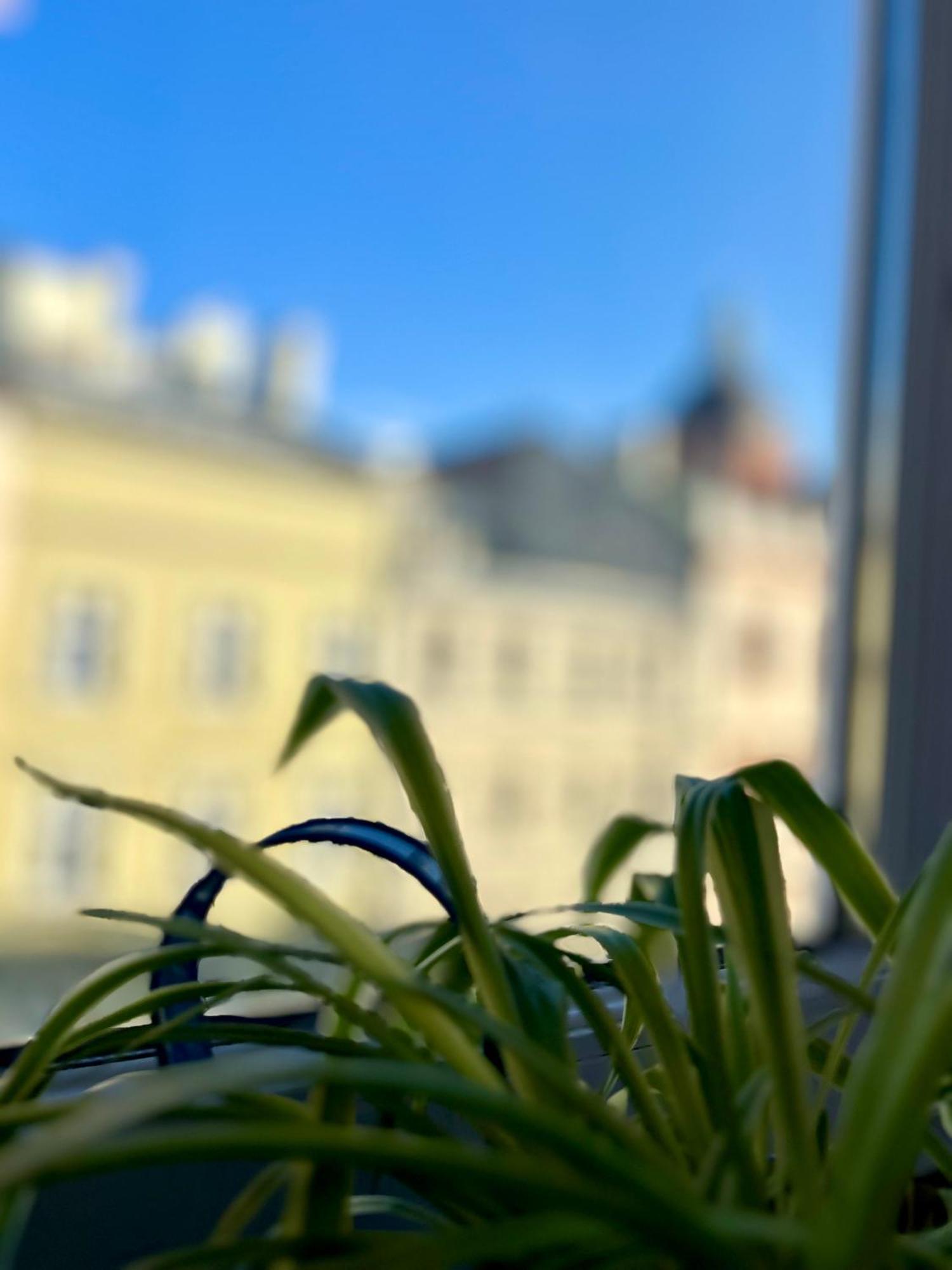 Vintage Senacka 9/7 Apartment Krakow Ngoại thất bức ảnh